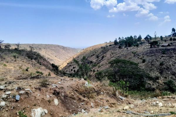 Climate Change and Livelihoods in the Albertine Region: What Communities Are Telling Us