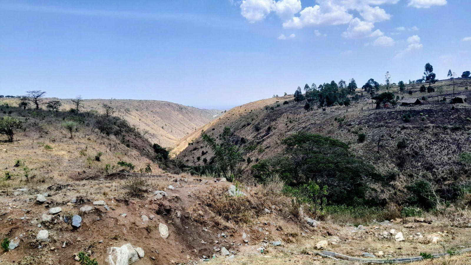 Climate Change and Livelihoods in the Albertine Region: What Communities Are Telling Us